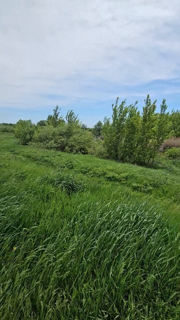 Приехали к реке на лошади