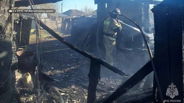 В Алтайском крае за три дня произошло около 300 пожаров смотреть онлайн