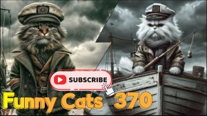 Смешные коты #370