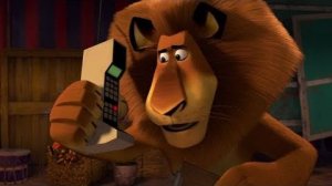 ! Gia the Jaguar reaction to Alex ! Madagascar 3 Gacha Life || Alex X Gia 🦁🐆