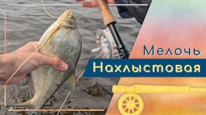 Озерная ловля нахлыстом