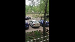 зачинщик Bella Revolution