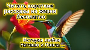 Читать короткие рассказы из жизни бесплатно: история любви Наташи и Павла | Домохозяйка