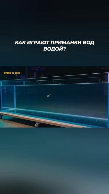 Приманки под водой. Спиннинг для дроп-шота.