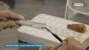 #ОМСинфо. Укусил клещ: пошаговая инструкция