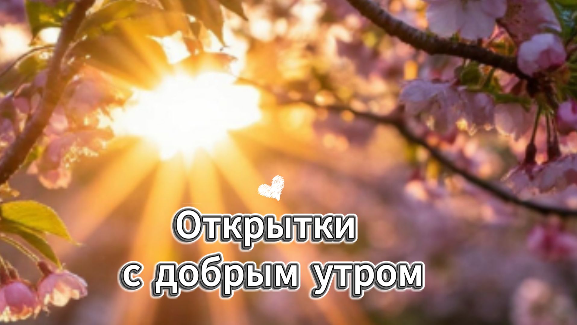 Доброе утро понедельника! Удачной недели – музыкальная открытка с пожеланиями | Домохозяйка