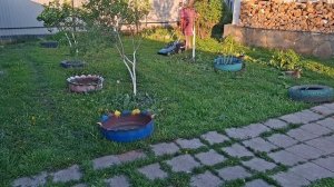 я и сама не промах 17.05.26