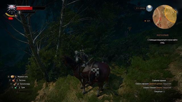 The Witcher 3 Wild Hunt #28. Спасение Лютика