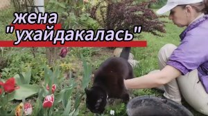 Ира «ухайдакалась». Зацвел первый каштан. Красота весенних цветов. 15.05.2026