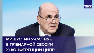 Мишустин участвует в пленарной сессии XI конференции ЦИПР