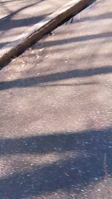 1000003738.mp4