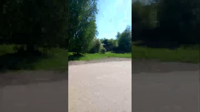 ~☆Прогулка с любимым хвостиком ☆~ смотреть онлайн