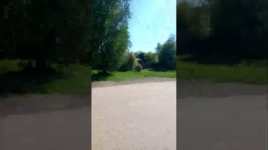 ~☆Прогулка с любимым хвостиком ☆~