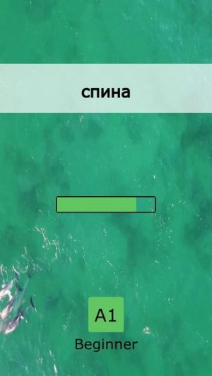 🤯 Взрыв мозга! Лексика уровня A1 (05 June 2026)