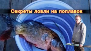Рыбалка в Плотниково:на КАРАСЯ: Секреты ловли на поплавок, которые работают всегда!
