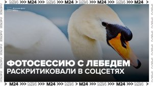 Фотосессия артистов Большого театра с живым лебедем вызвала волну критики в соцсетях - Москва 24