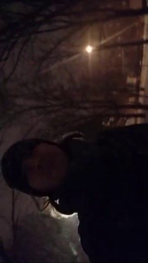 Снег! Ветер! Метель!
