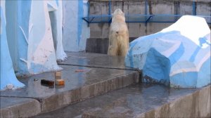 Кай прыгнул в воду когда на него не смотрела и быстро вышел. На завтрак не торопился 30.04.2026