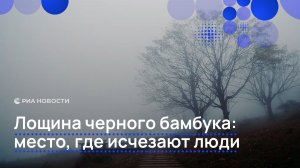 Лощина черного бамбука: место, где исчезают люди