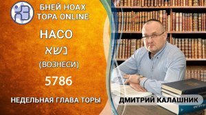«Насо» 5786/2026. Недельные главы Торы - Парашат а-шавуа | Дмитрий Калашник