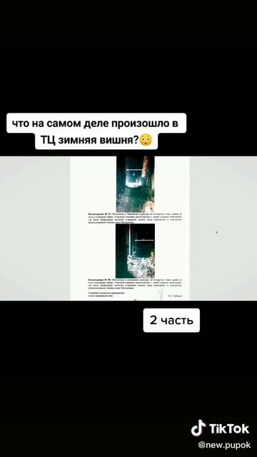 ЧТО ПРОИЗОШЛО НА САМОМ ДЕЛЕ В ТЦ ЗИНЯЯ ВИШНЯ ЧАСТЬ 2