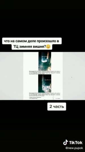 ЧТО ПРОИЗОШЛО НА САМОМ ДЕЛЕ В ТЦ ЗИНЯЯ ВИШНЯ ЧАСТЬ 2