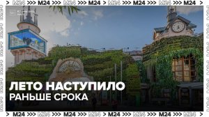 Синоптик Цыганков заявил о начале метеорологического лета в Москве - Москва 24