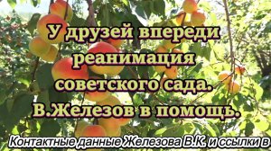 У друзей впереди реанимация советского сада. В.Железов в помощь.
