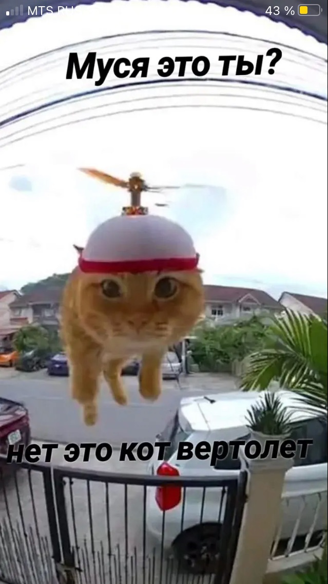 Жиза смотреть онлайн
