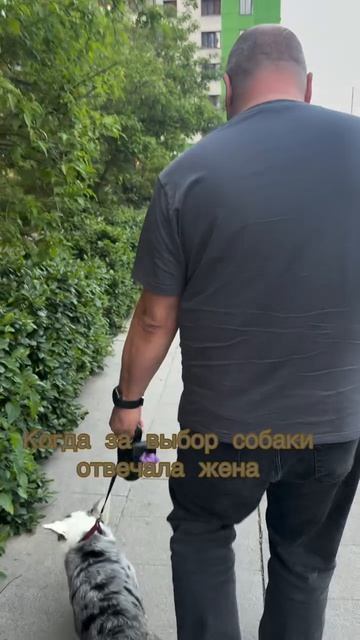А у вас какой питомец и кто выбирал?