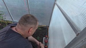 Первый запуск. Крошка - Картошка