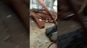 1000121532.mp4