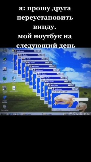 #Windows #лягушка