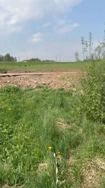 rutube.ru
