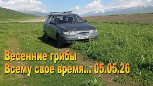 Всему свое время. Опоздали за грибами 05.05.26
