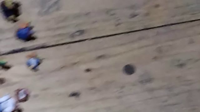 339.mp4