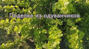 Одуванчики! Поделка! Мастерим с детьми!