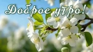 УТРЕННЯЯ ПОЧТА ! У ВАСЕВСКИХ СОБЫТИЕ ВЕКА