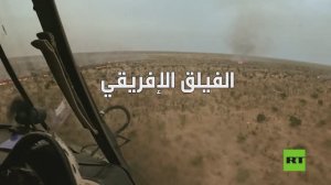 الفيلق الإفريقي