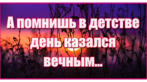 А помнишь в детстве день казался вечным, и лето было сказочной порой...