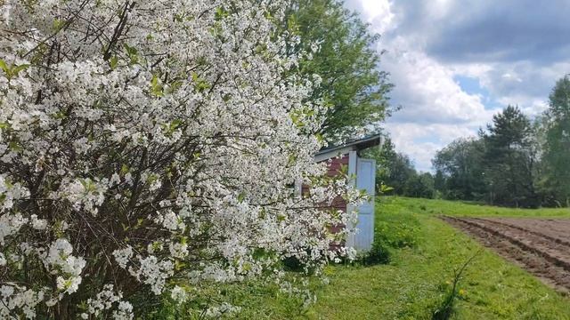 Май смотреть онлайн