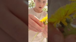 венки
