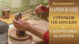 Эксперимент! Маринуем строчки и сморчковые шапочки.