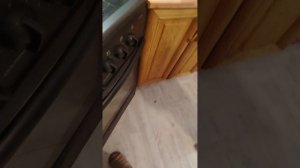 мы с ЛП готовили самодельные чипсы