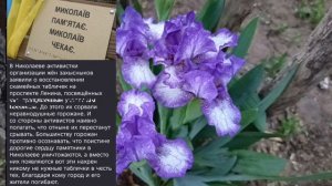 Николаев 19 мая 2026 года (новости)