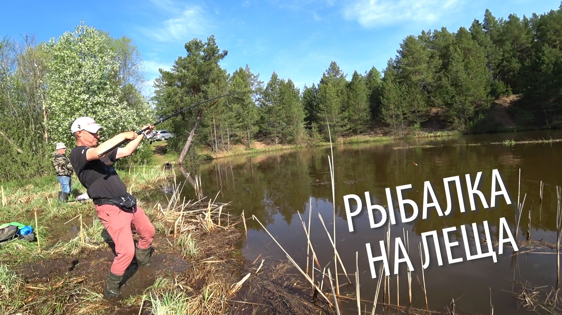 ЭТИ ЛЕЩИ ГНУТ УДОЧКИ В БУБЛИК! Рыбалка на поплавок на маленькой речке