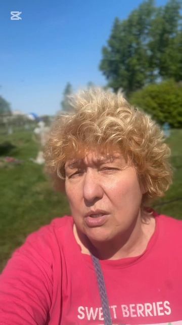 Друзья, мы продолжаем собирать деньги на памятник Илье