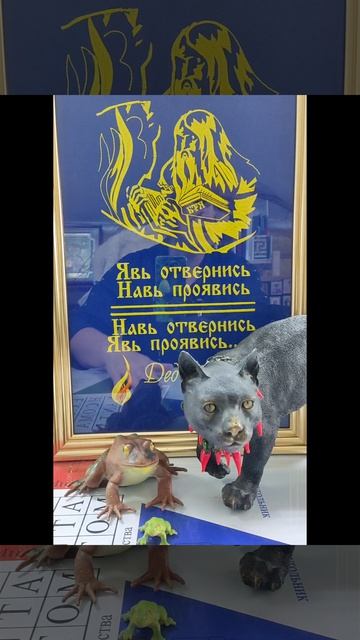 Совет дня🐸 18 мая🙋#новинка#семья#работа#отношения#дом#