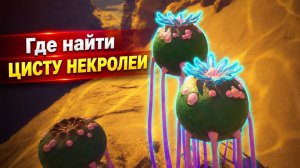 Где найти Цисту Некролеи в Subnautica 2