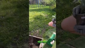 На связи проект Здоровье800.